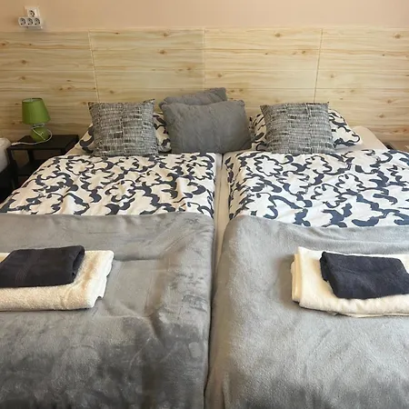 Budapest Airport فيتْشيش