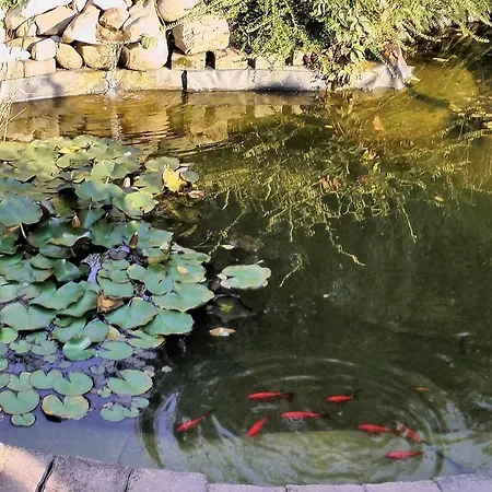 Budapest Airport شقة